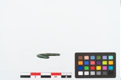Foto von Bronzering (NHMW-PRAE-025238)